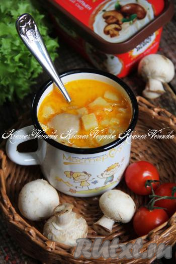 Разлить насыщенный, вкусный, бархатистый суп с вешенками и плавленным сыром по тарелкам и подать к столу в горячем виде.