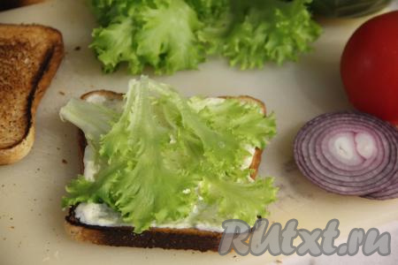 Выложить 2-3 листа салата.