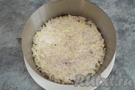 Смазать слой лука майонезом.