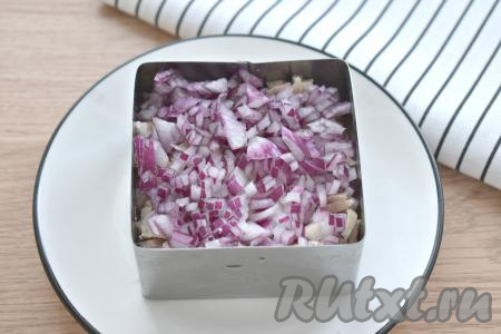 Очищаем лук (я взяла красный лук), мелко нарезаем его, раскладываем равномерно поверх курицы.