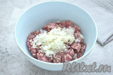 Перекладываем фарш в объёмную миску, добавляем очищенную и мелко нарезанную луковицу.