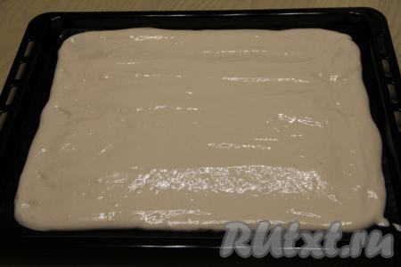 Тесто выложить на противень (у меня противень размером 35 сантиметров на 50 сантиметров), застеленный тефлоновым ковриком (или пергаментом). Разровнять тесто с помощью лопатки и поставить противень в уже разогревшуюся духовку.