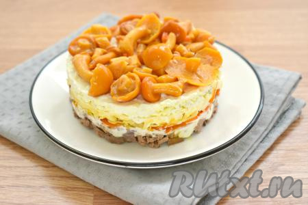 Даём салату пропитаться в холодильнике в течение минут 30, а затем снимаем кольцо и подаём к столу. По желанию перед подачей его можно украсить свежей зеленью.