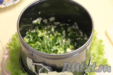Следующим слоем разложить мелко нарезанную зелень.