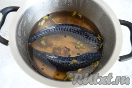 Выложить подготовленные тушки скумбрии в рассол, накрыть крышкой и отправить в холодильник на 48 часов. Через 24 часа можно рыбку перевернуть.