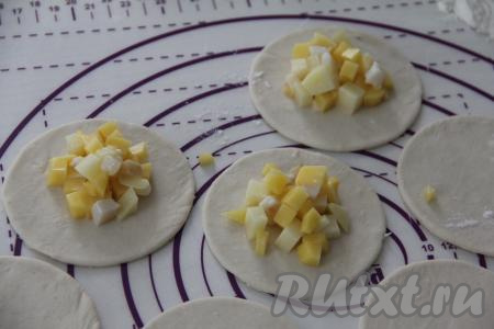 В центр каждого кружка из теста выложить примерно 2 чайных ложки начинки из сала и картошки.