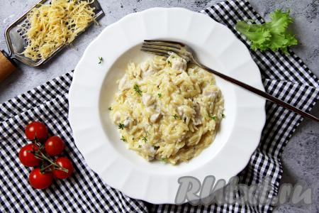 Разложить пасту "Орзо" с курицей в сливочном соусе по тарелкам и подать нежное, очень вкусное блюдо в горячем виде к столу.