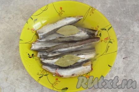 Добавить к мойве лавровый лист, влить 100 миллилитров холодной воды (вода не должна покрывать всю рыбу).