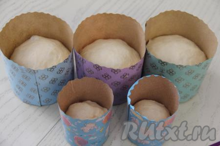 Разделить тесто на части и выложить в формы для куличей, заполняя их на половину объёма. У меня получилось 3 кулича по 350 грамм и 2 мини куличика. Формы с тестом прикрыть полотенцем и оставить в тёплом месте на 1 час для подъёма теста.