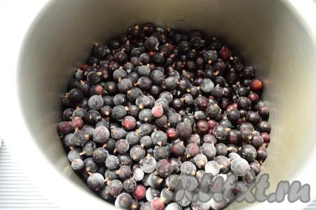 Сложить чёрную смородину в подходящую по объёму кастрюлю с толстым дном и поставить на средний огонь.