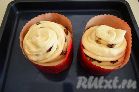 Тесто должно увеличиться в объёме и занять почти весь объём форм. Поставить куличи в разогретую до 180 градусов духовку на 40-45 минут.