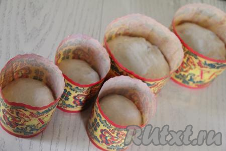 Выложить тесто в формы (я выкладывала в бумажные формы), заполняя их тестом примерно на половину объёма. Я использовала 2 формы диаметром 11 сантиметров и 3 формы диаметром 7 сантиметров. Прикрыть формы с тестом полотенцем и оставить при комнатной температуре на 1 час (тесто должно округлиться и заполнить формы до 2/3 объёма). 