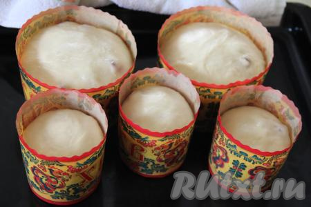 Формы с поднявшимся тестом переставить на противень и отправить в духовку, разогретую до 190 градусов.