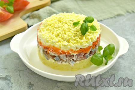 Вкусный, сочный, аппетитный салат "Мимоза", приготовленный с селёдкой, минут на 30-40 убрать в холодильник, чтобы слои пропитались. А затем снять сервировочное кольцо, украсить (я просто украсила свежей зеленью) и подать к столу.