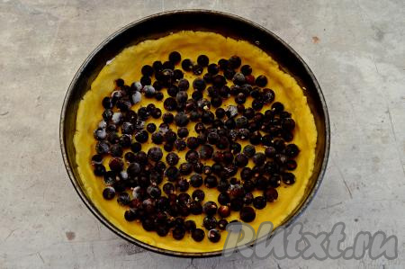 На дно формы выложить ягоды смородины, они должны покрывать всё дно формы в один слой.