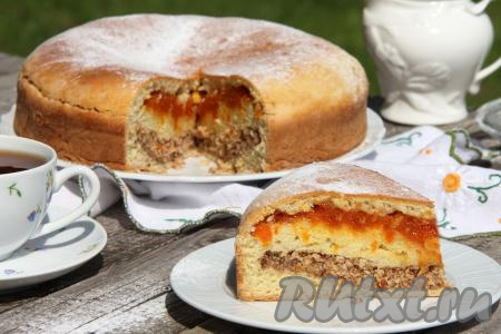 Двухслойный пирог с курагой и орехами