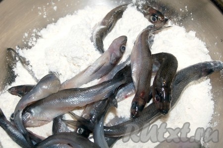 Взять миску, насыпать в нее муку, добавить в муку соль и опустить корюшку.