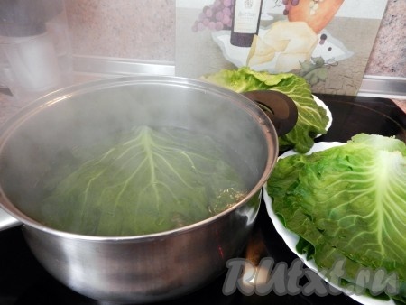 В большой кастрюле довести до кипения воду, чуть подсолить. Отваривать капустные листья до мягкости. Молодые листья достаточно варить, примерно, 1,5 минуты.
