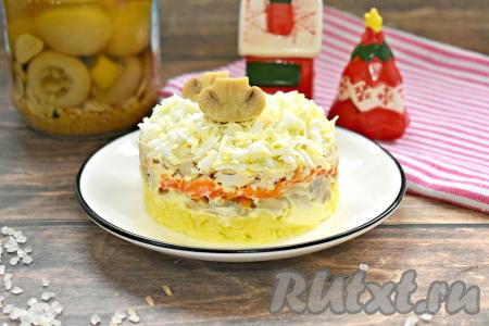 Сочный, вкусный, аппетитный салат, приготовленный с курицей и маринованными шампиньонами, можно подать и к семейному ужину, и к праздничному столу.