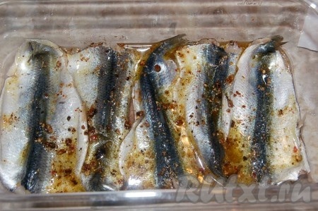 Теперь берём салаку, отряхиваем излишки соли, выкладываем рыбку в контейнер (лучше в один слой) и заливаем смесью лимонного сока, масла и специй. Контейнер с рыбкой накрываем крышкой и отправляем в холодильник на 6 часов (а лучше на ночь).
