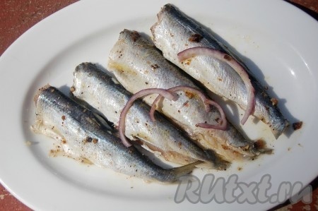 Утром вкуснейшая солёная салака будет готова.
