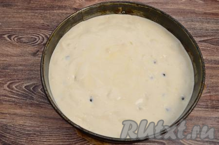 Дно разъёмной формы для выпечки (у меня форма диаметром 23 сантиметра) застелить пергаментом. Бока формы смазать растительным маслом. Вылить бисквитное тесто с чёрной смородиной в форму. Форму резко покрутить вокруг своей оси, чтобы бисквитное тесто было немного выше по бокам, чем в центре. Такой нехитрый приём позволяет добиться равномерного подъёма теста во время выпечки.