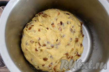 Тщательно вмешать изюм. Накрыть кастрюлю с тестом полотенцем и отправить в тёплое место на 1-1,5 часа для расстойки (до увеличения в объёме в 2,5-3 раза).
