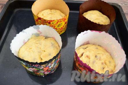 Обмять поднявшееся тесто в течение 2 минут. Разделить его на равные кусочки, сформировать каждый кусочек в шар, стараясь, чтобы практически весь изюм был закрыт тестом, и разложить по бумажным формам для куличей, заполняя формы примерно на 40%. Накрыть формы с тестом полотенцем и убрать в тёплое место на 30 минут. У меня всего получилось 1 кг 700 грамм теста. Я его разделила на 4 равные части и уложила в формы диаметром 11 сантиметров.