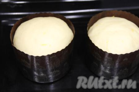 Формы с тестом прикрыть полотенцем и поставить в тёплое место на 30 минут. Тесто поднимется и заполнит формы чуть больше, чем на 2/3 объёма.