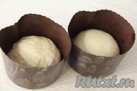 Поднявшееся тесто обмять, разделить на равные части (я разделила на 2 равные части, то есть в результате испекла 2 кулича) и, скатав каждую часть в шар, выложить в формы (я взяла бумажные формы для выпечки), заполняя их на половину объёма.