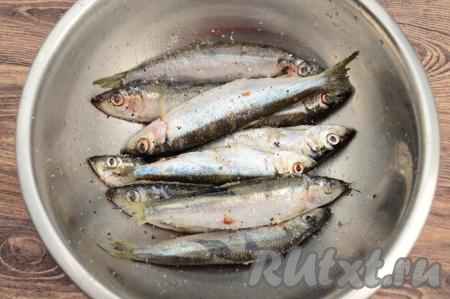 Хорошо перемешать рыбу, равномерно распределяя соль, сахар и специи. Накрыть миску крышкой и убрать на 24 часа рыбку в холодильник для засолки. За это время следует не менее 2 раз перемешать салаку. Во время сухой засолки салака выделит немного жидкости, сливать её в процессе просаливания рыбы не нужно.