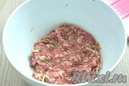 Тщательно перемешиваем фарш с луком и специями.