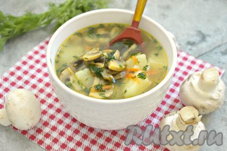 Насыщенный, аппетитный суп, сваренный с шампиньонами на курином бульоне, разлить по тарелкам и в горячем виде подать к столу. Сытно, просто и вкусно, попробуйте!