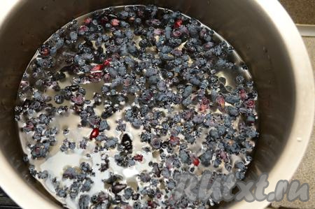 Жимолость, если нужно, перебрать. Затем выложить в сито, хорошо промыть проточной водой, лишней воде дать стечь. В кастрюлю, в которой будете варить кисель, выложить подготовленную свежую (или замороженную) жимолость, влить 1 литр воды, всыпать сахар, перемешать и поставить на достаточно сильный огонь.