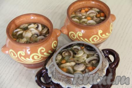 Разложить примерно равное количество перловки с грибами и овощами по 3 горшочкам. Влить в каждый горшочек по 200 миллилитров горячей воды. Накрыть горшочки крышками.
