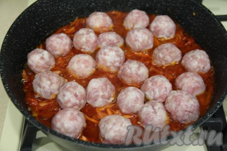 Фарш посолить, сформировать из него фрикадельки размером с грецкий орех (я сформировала 23 фрикадельки). Поверх овощей выложить в один слой фрикадельки, влить ещё 100 миллилитров воды.&nbsp;