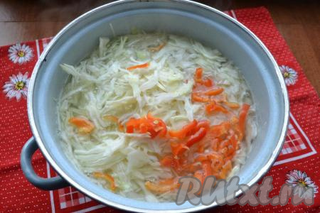 После закипания воды добавить капусту, нарезанную на тонкие полоски, посолить, довести до кипения, уменьшить огонь, варить 20 минут.&nbsp;Болгарский перец, если будете добавлять, нужно очистить от семян и плодоножки, нарезать на полоски. После того как капуста с картошкой проварятся 20 минут (овощи должны стать достаточно мягкими), добавить в кастрюлю болгарский перец, довести до кипения, уменьшить огонь, варить на небольшом огне 5-7 минут. Если не будете добавлять перец, тогда просто продолжайте варить картошку с капустой ещё 5 минут.