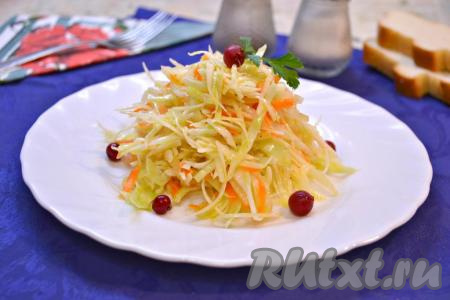 Салат из капусты с луком, морковью и уксусом