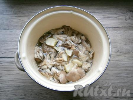 Дать закипеть, уменьшить огонь до минимума. Варить вешенки под прикрытой крышкой 15 минут.