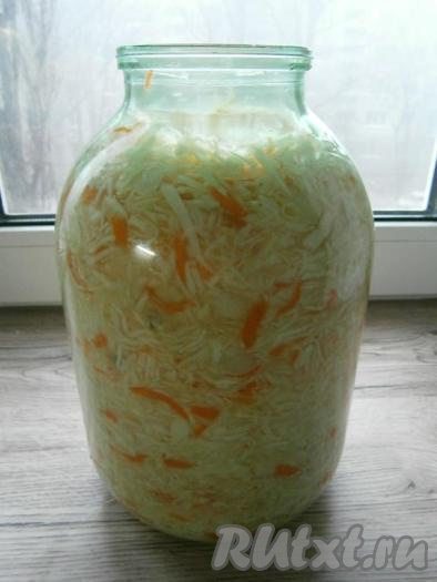 Чисто вымытую, сухую банку наполнить капустой, плотно ее утрамбовывая.