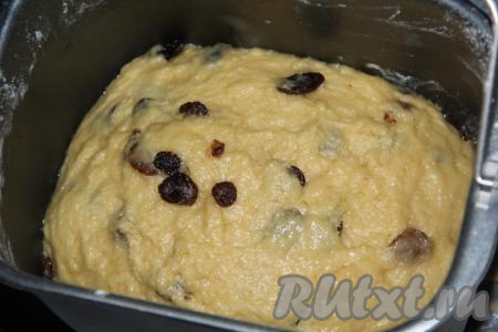 Если замес теста будете делать вручную, тогда в глубокой посуде нужно соединить опару, яйца+желтки, сахар, растительное и размягченное сливочное масло. Всю массу слегка перемешать. Затем добавить просеянную муку и соль. Замесить руками нежное и мягкое тесто. В конце замеса добавить изюм. Оставить тесто в посуде, накрыв пищевой плёнкой. За 1,5 часа оно должно увеличиться в два раза.