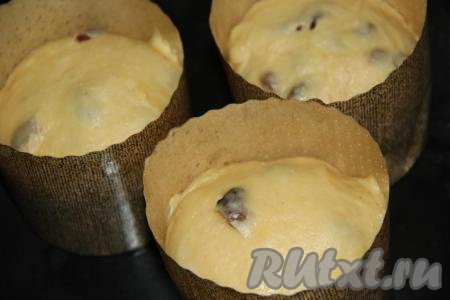Затем подошедшее тесто хорошо обмять и выложить в формы. Формы заполнить на 1/3 объёма. Поставить формы на противень и накрыть полотенцем. Оставить куличи на 2 часа в тепле для подхода. Тесто увеличится в объёме.