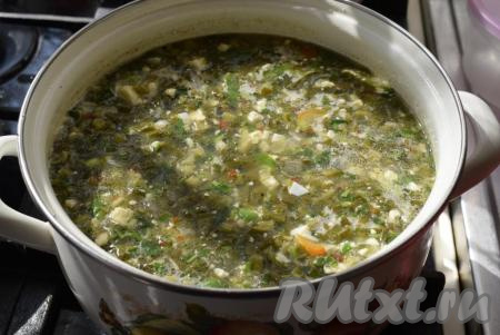 В зеленые щи со щавелем добавляем нарезанные вареные яйца, пропущенный через пресс чеснок, свежемолотый черный перец, доводим до кипения и снимаем с огня.