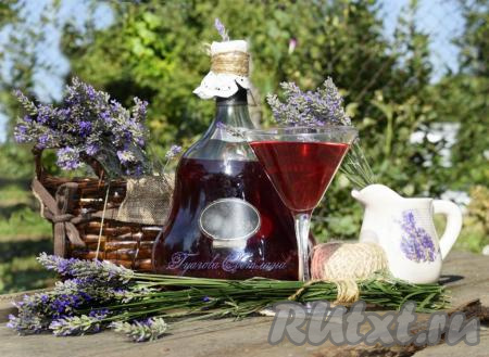 Рецепт наливки из черной смородины