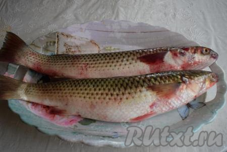 Кефаль промыть под проточной водой.