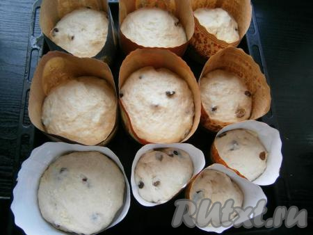Когда тесто третий раз подойдет, обмять его на столе, присыпанном небольшим количеством муки. Тесто останется достаточно липким, но муки больше не добавляйте. Разложить тесто по бумажным формочкам или обычным (дно и бока не бумажных формочек нужно застелить пергаментом). Формочки заполнять не более чем на 1/3 объема.