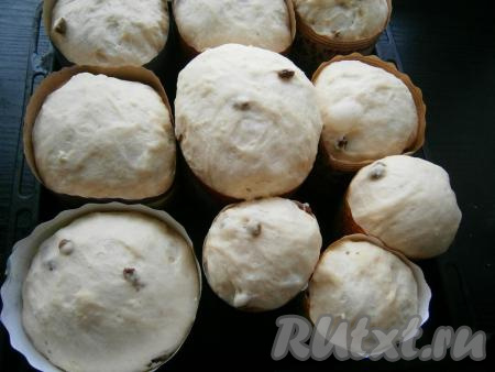 Оставить формы с тестом в теплом месте еще на 1 час. Тесто хорошо должно подняться.