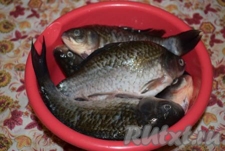 Карасей очищаем от чешуи, держа за хвост и водя нож по направлению к голове рыбы. Очищенную от чешуи рыбу промываем под проточной водой.