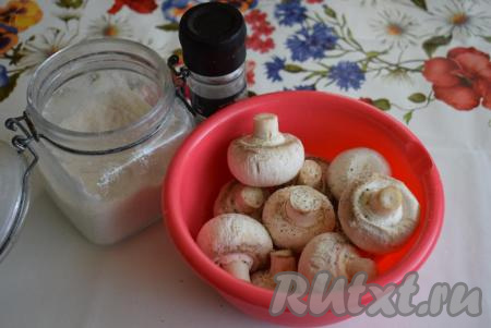 Подготовленные грибы складываем в миску.