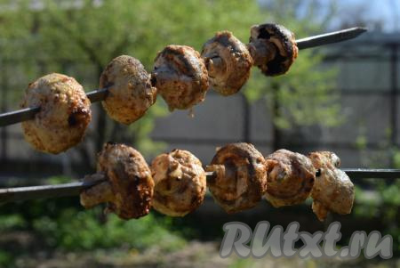 Снимаем грибы с мангала и подаем к столу.